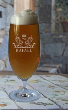 Biertulpe Greif